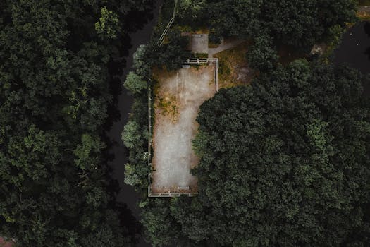 Drone capture of a serene forest clearing in Novomoskovsk, Ukraine.