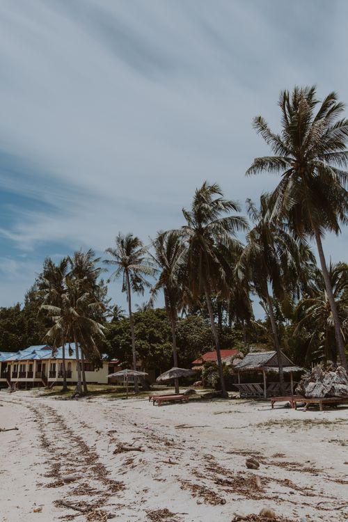 Free Serene tropical beach with palm trees and resort huts under a clear sky. Stock Photo
