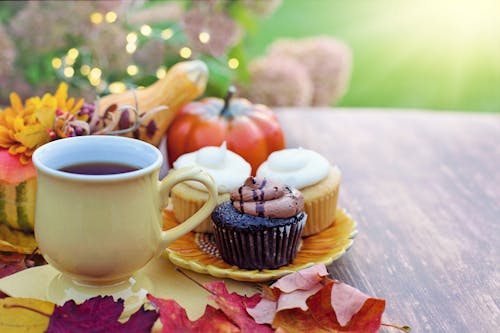 Gratis stockfoto met bladeren, cupcakejes, decoratief