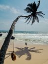 Brown Wooden Swing on Beach