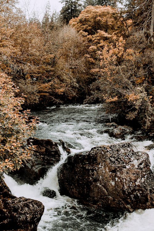 垂直拍攝, 岩層, 河 的 免費圖庫相片