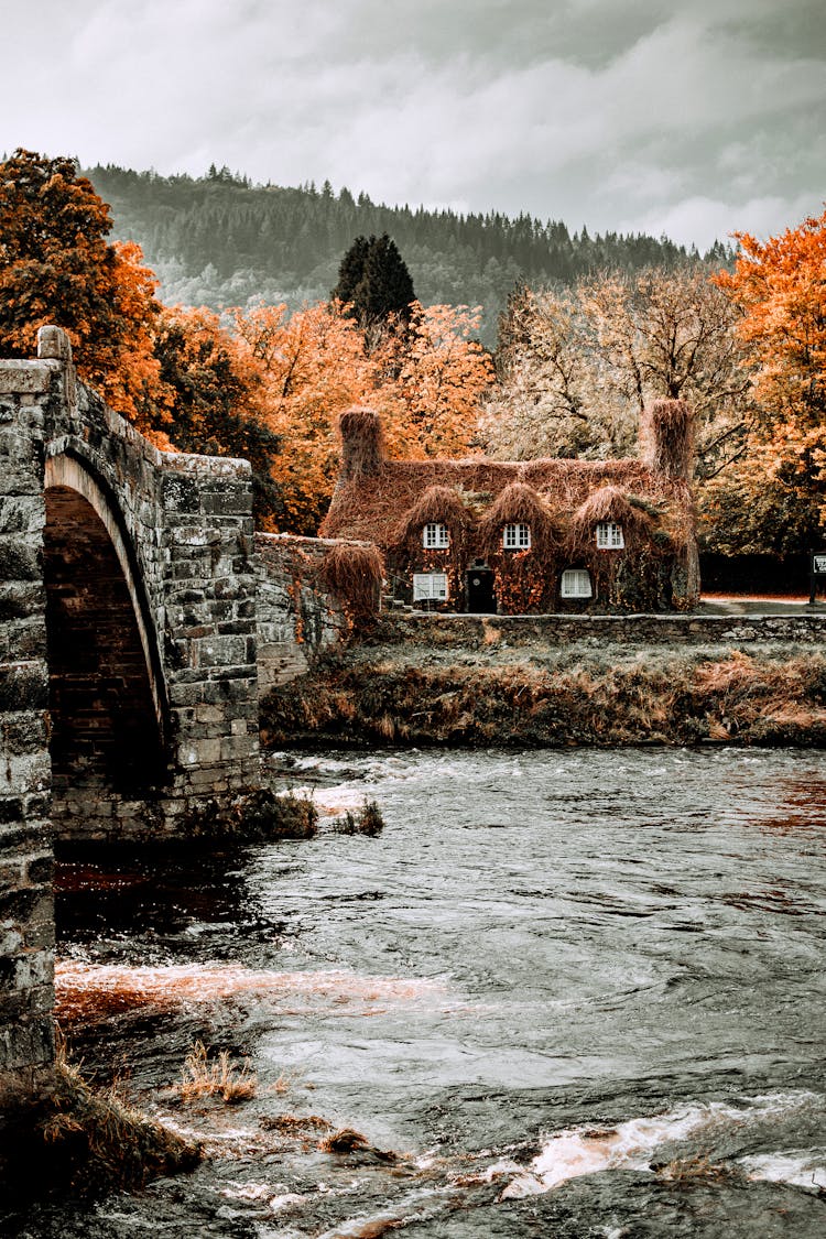 Stone Bridge Over Creek