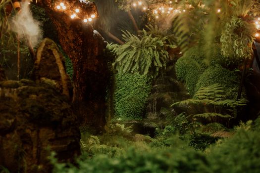 A serene tropical forest setting enhanced by string lights, showcasing verdant greenery and foliage.