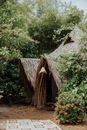 Brown Wooden House Surrounded by Green Plants