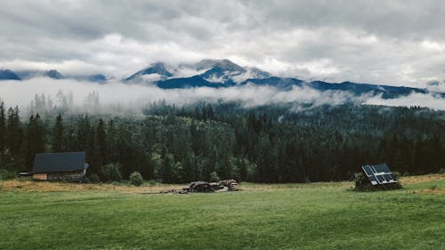 Free Forest in Valley Under Overcast Sky Stock Photo