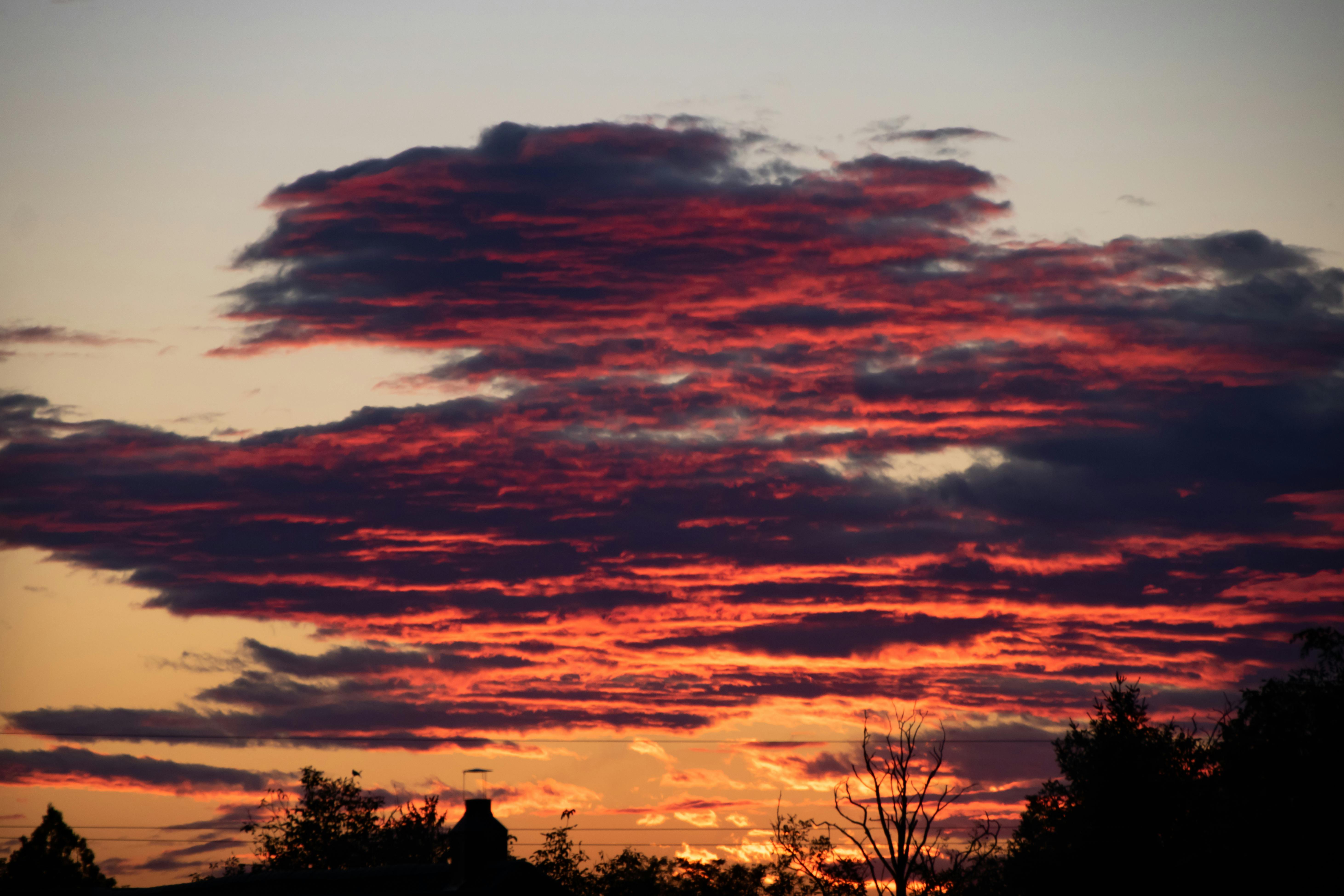 Foto de stock gratuita sobre anochecer, arboles, cielo rojo, eclipse ...