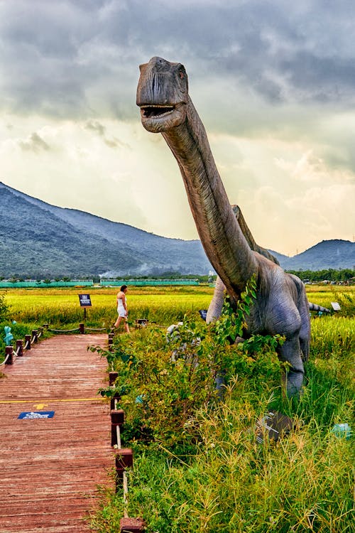 Бесплатное стоковое фото с динозавр, динопарк, дощатая дорожка