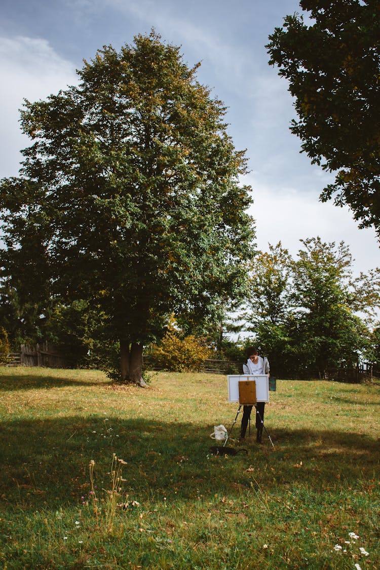 Man Painting Nature In A Park 