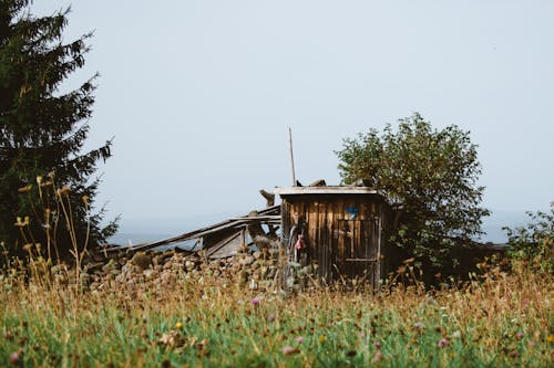 フィールド, 小屋, 田舎の無料の写真素材