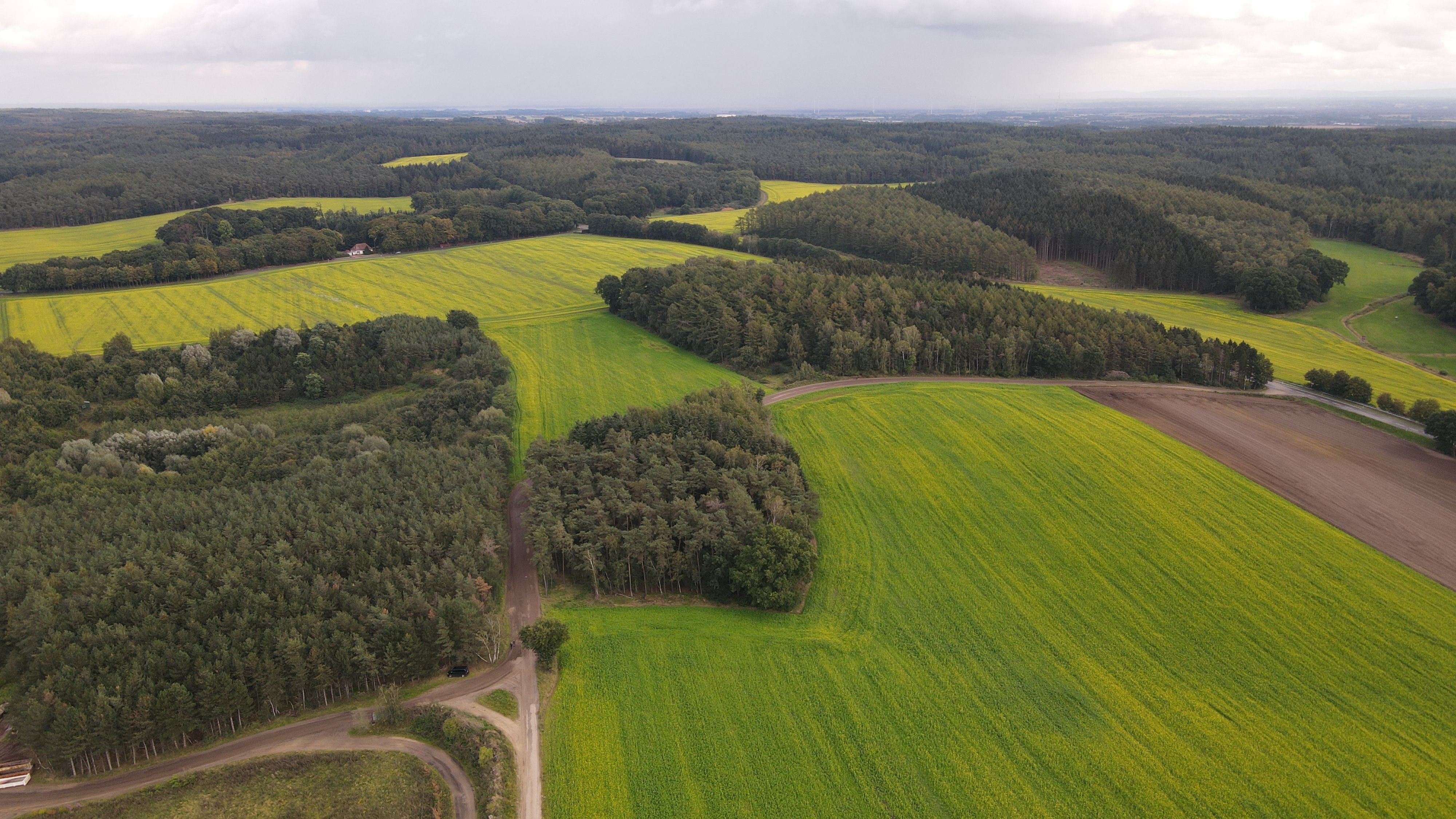 Scenic aerial photo of green agricultural fields in Holdorf, Germany; lush rural landscape.