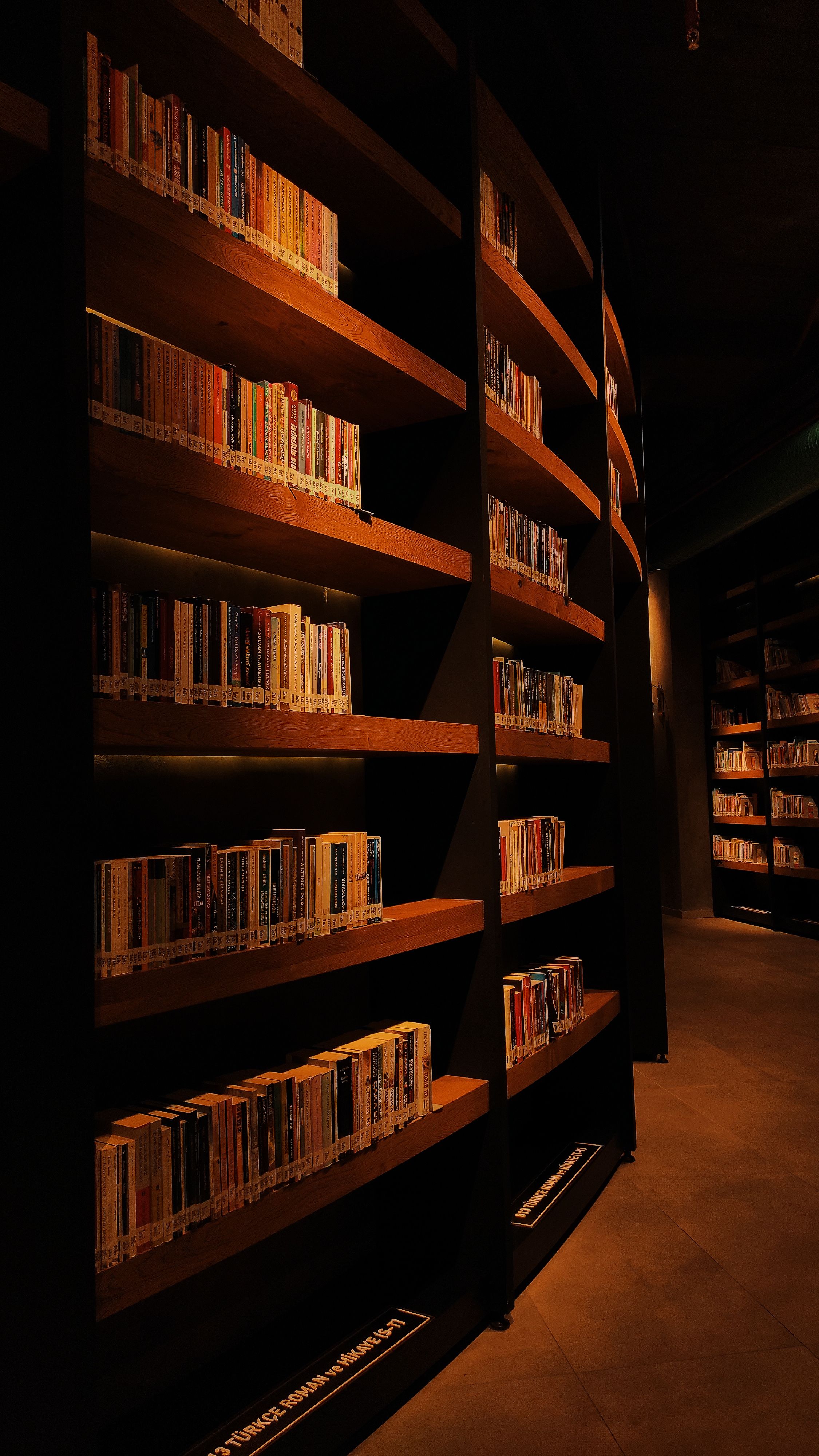 Shelves with Books in a Library · Free Stock Photo