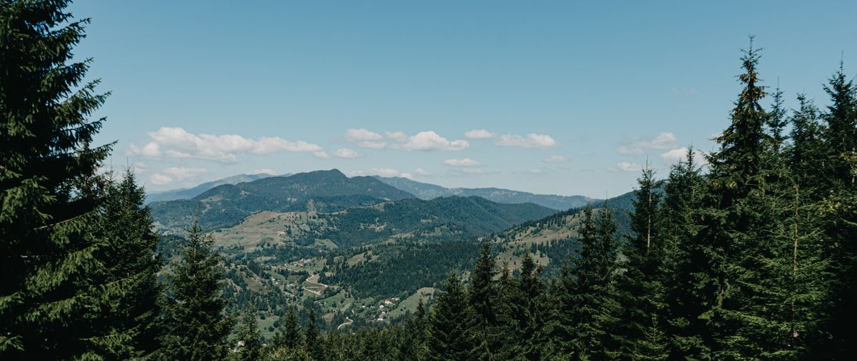 Panorama muntilor si padurilor de brad de la Borsa, foarte lata