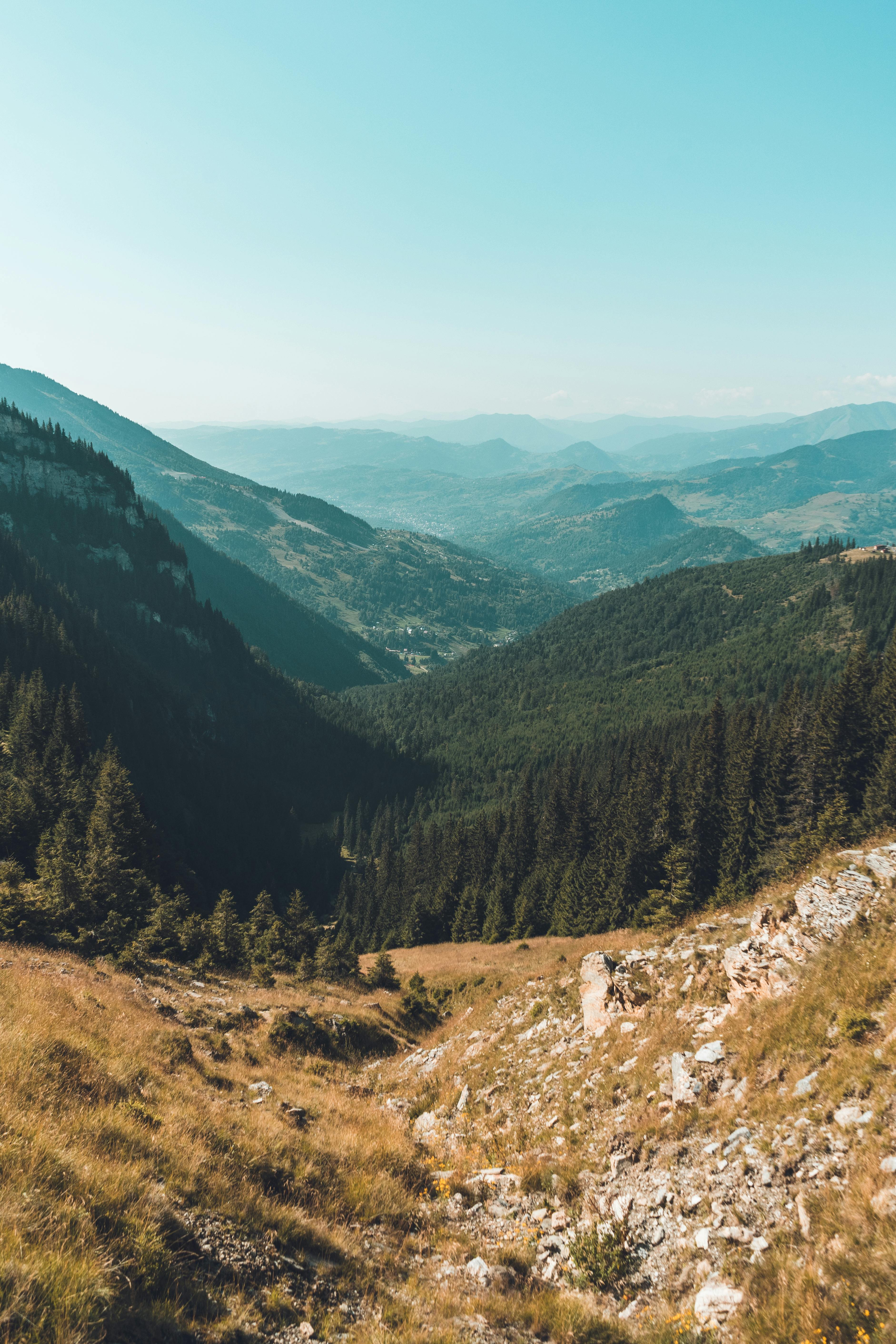 Discover the breathtaking mountain views of Borșa, Romania's lush valleys.