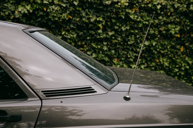 Antenna On Back Part Of Automobile