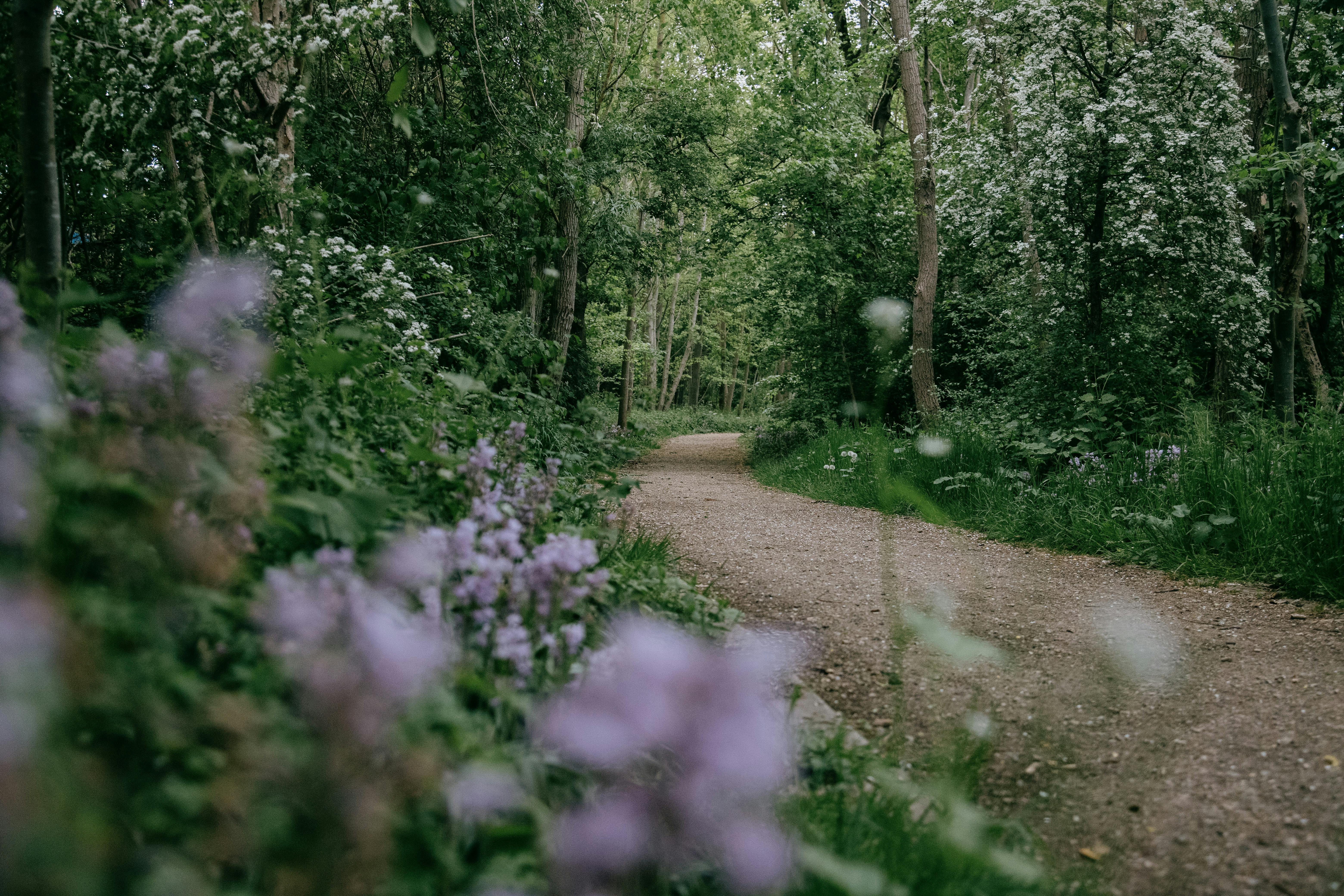 Exotic Fragrances from Distant Lands