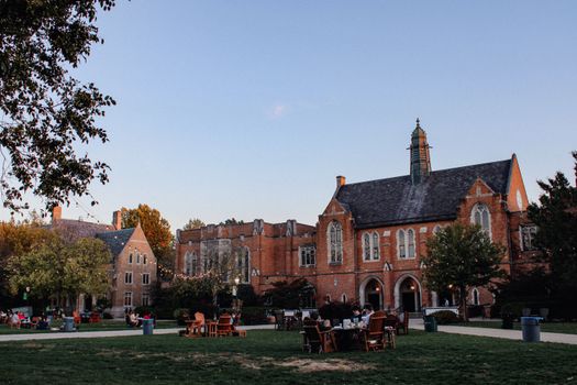 People Sitting on Green Grass Field Near Brown Concrete Building