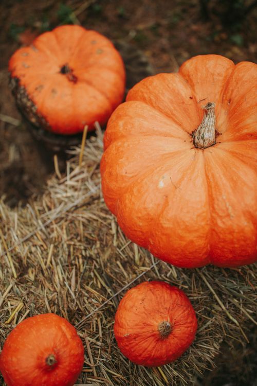 Free Bright orange pumpkins resting on hay bales, capturing the essence of fall harvest. Stock Photo