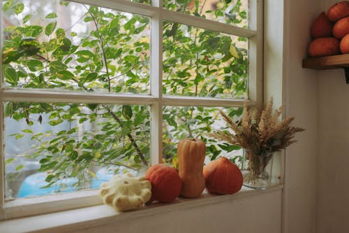 Бесплатное стоковое фото с домашний декор, здоровый, овощ