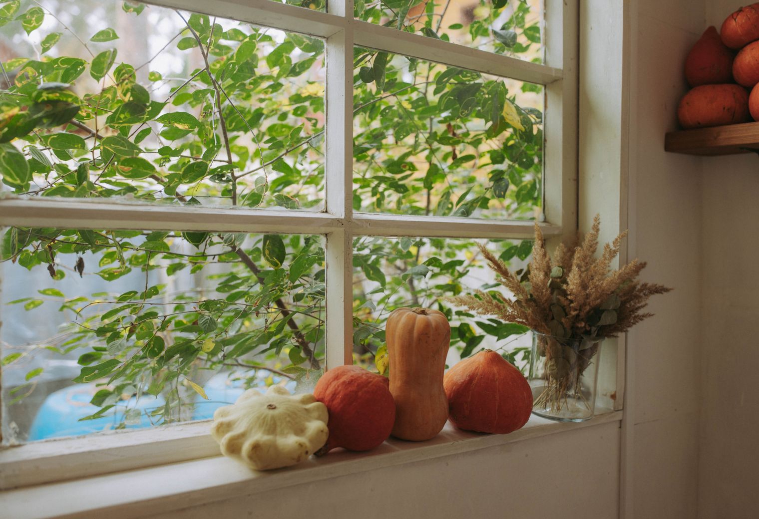 uPVC Spraying in Charing Cross — quality trade paint going on in two coats