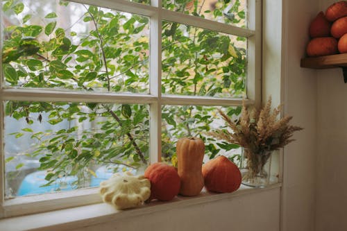 Fall Allergy Season Isn’t Over Yet—Tips to Breathe Easier Indoors