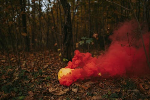 A Smoke Bomb Inside the Pumpkin 