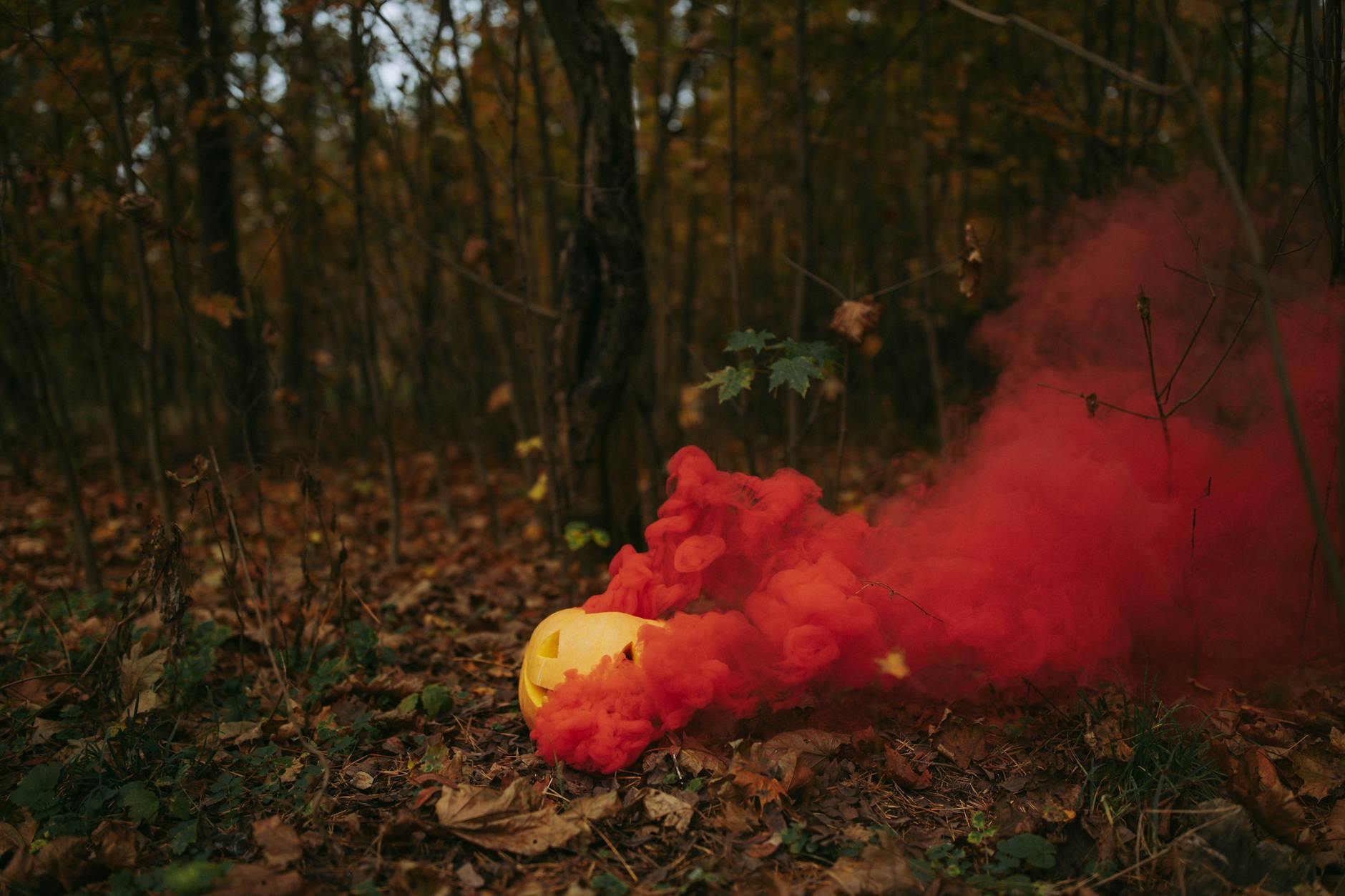 Ron Johnson odmieta hrozby FCC: Licencie médií za „falošné správy“ o Iráne?