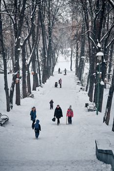People walking on a snow-covered path lined with leafless trees during winter weather.