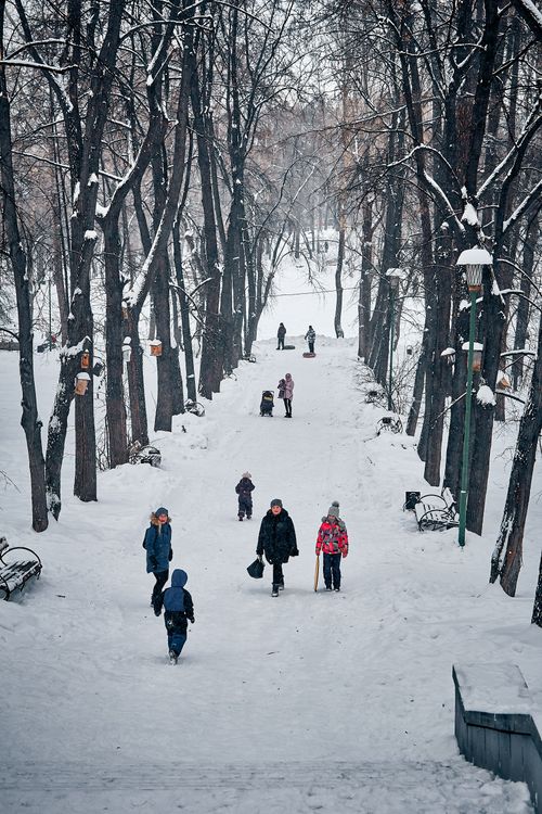 Free People walking on a snow-covered path lined with leafless trees during winter weather. Stock Photo