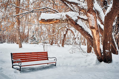 Free Brown Wooden Bench Covered With Snow Stock Photo