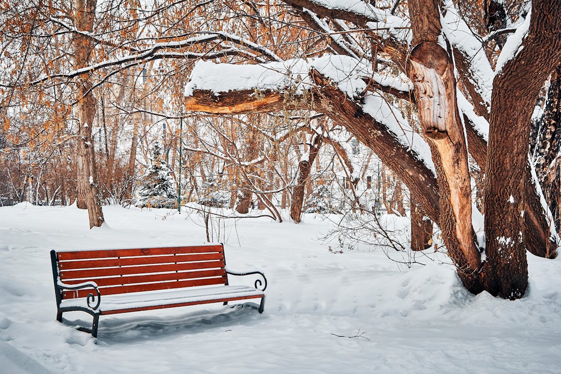 Free Brown Wooden Bench Covered With Snow Stock Photo