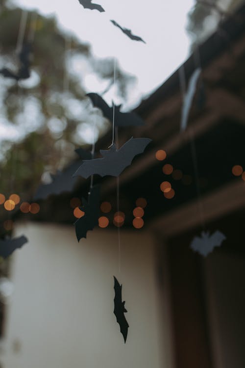 Free Hanging Bats on Halloween Decorations Stock Photo
