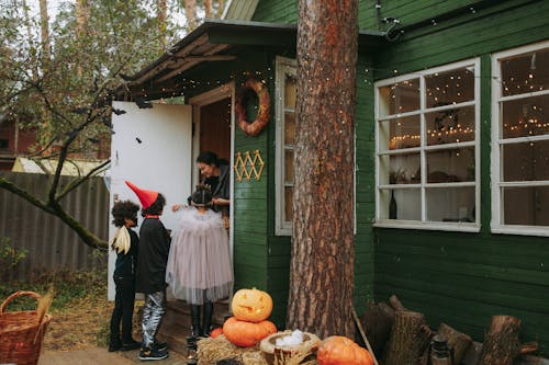 Ücretsiz cadılar bayramı bal kabağı, çocuklar, genç içeren Ücretsiz stok fotoğraf Stok Fotoğraflar