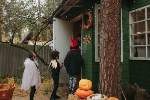 Ücretsiz cadılar bayramı bal kabağı, çocuklar, genç içeren Ücretsiz stok fotoğraf Stok Fotoğraflar
