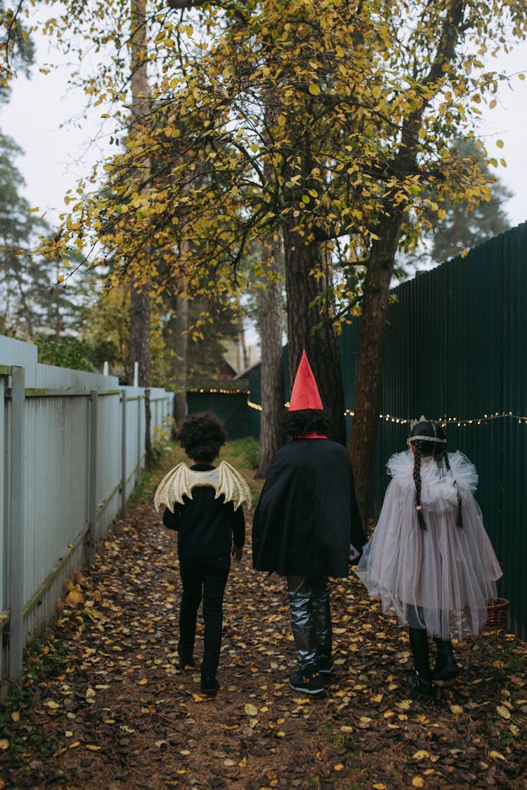 Children Wearing Costumes