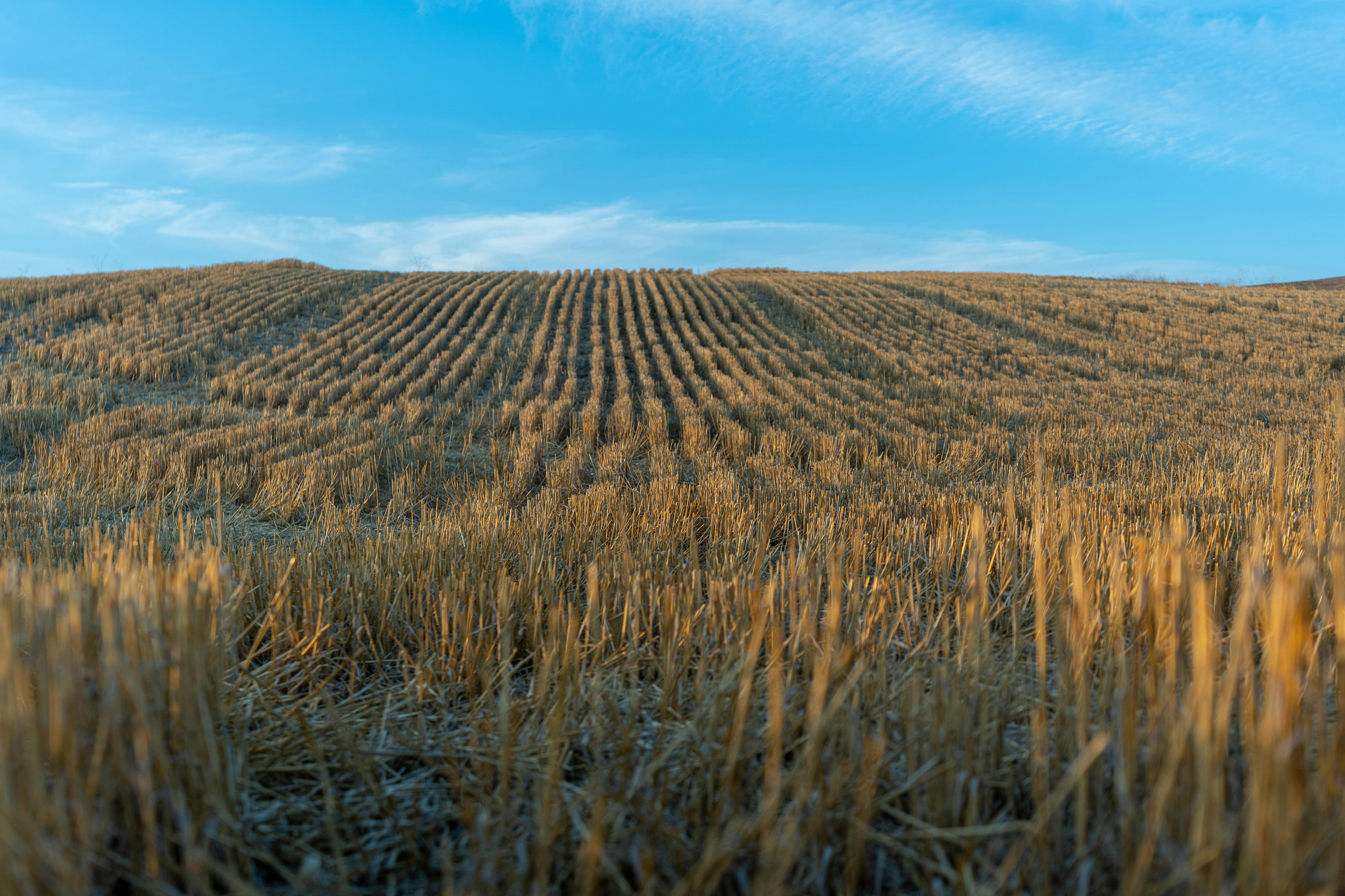 Thousands of DR Congo refugees struggle in overcrowded Bu...