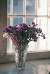 Free Purple Flowers in Clear Glass Vase Stock Photo