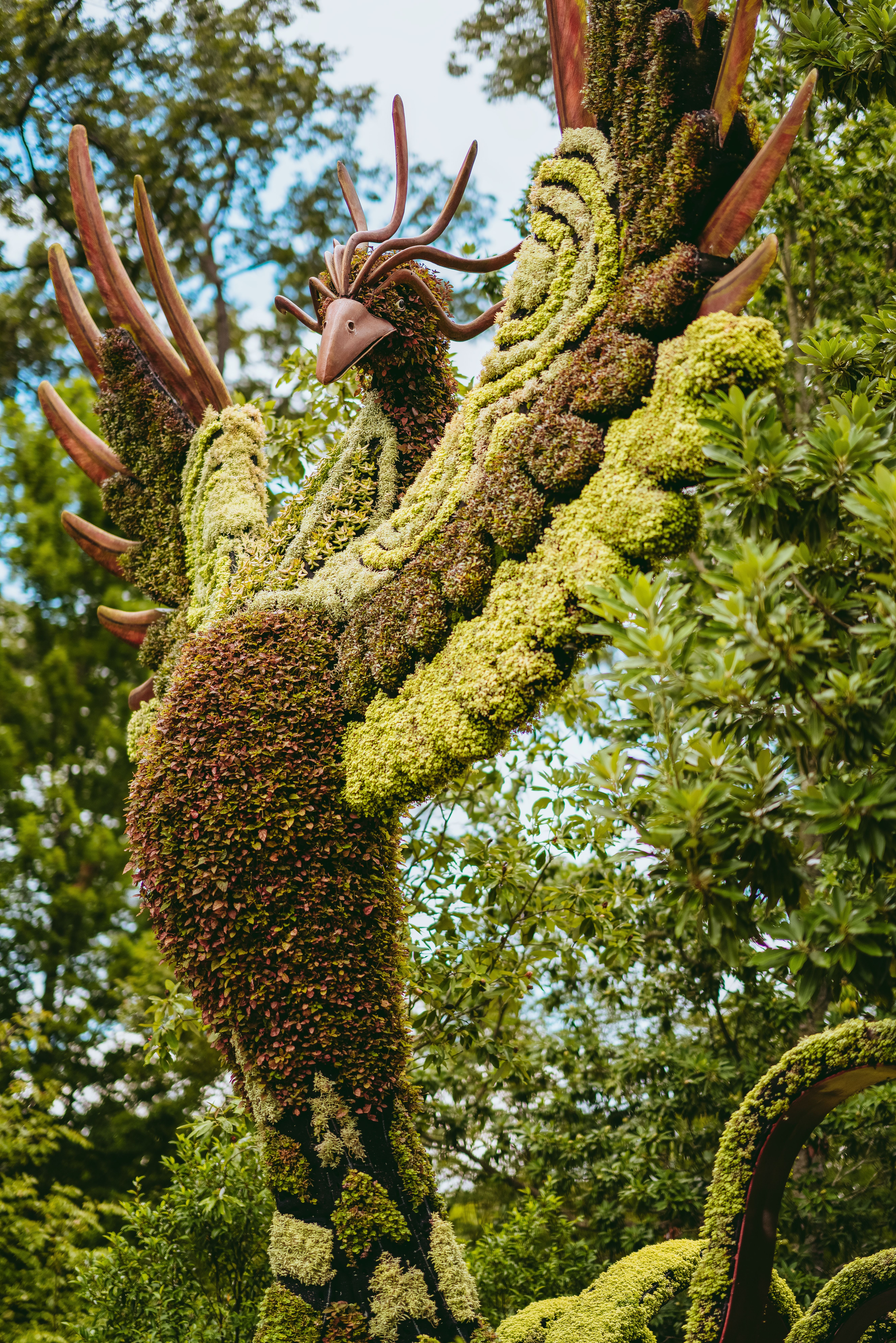 Kostenloses Foto zum Thema: ausruhen, bau, baum