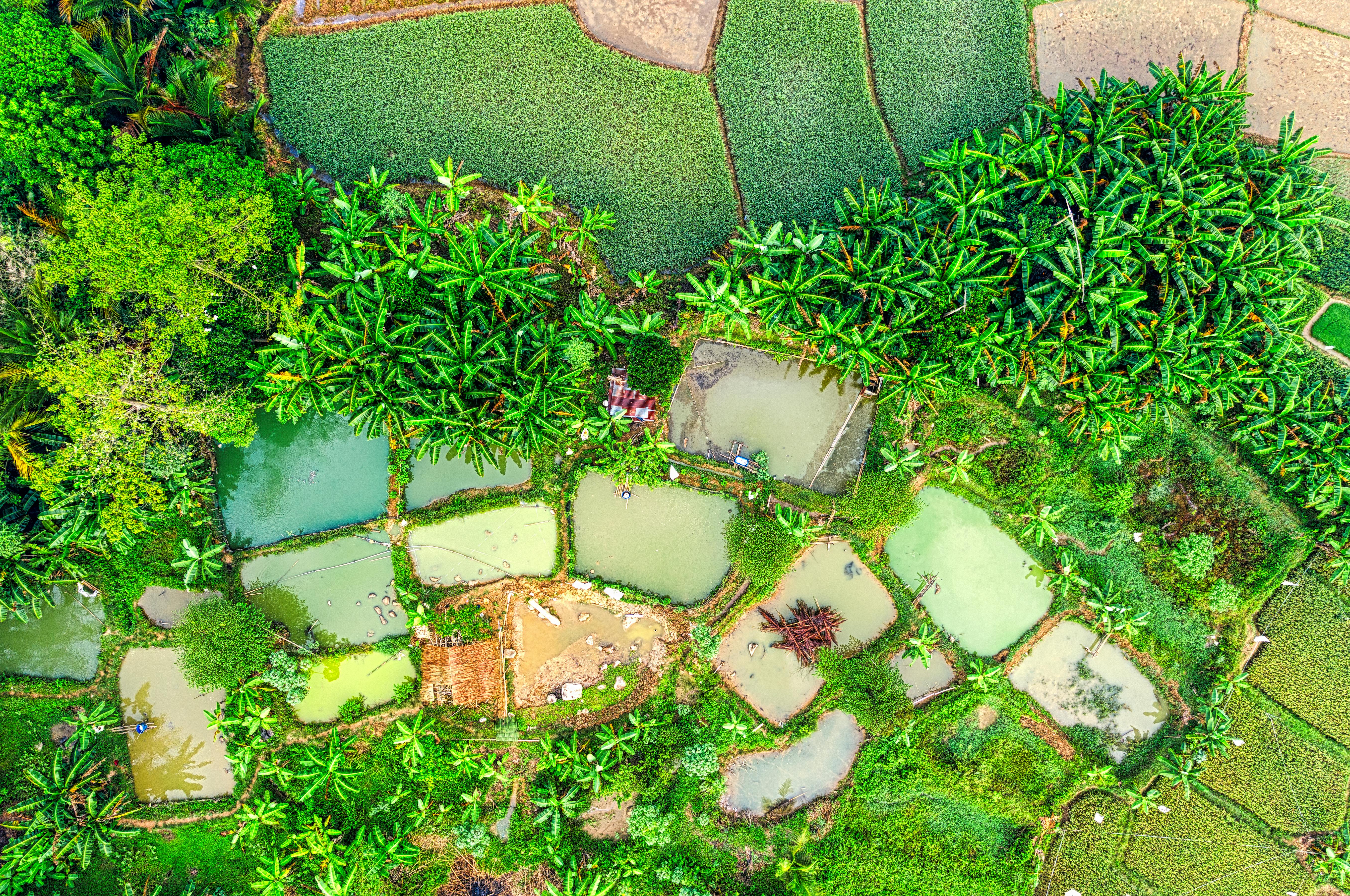 Climate Change Adaptation and Resilience Plan — Photo by Tom Fisk on Pexels