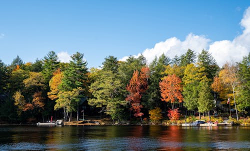 Mid-Autumn Travel Ideas: Best U.S. Getaways For Crisp Weather And Fall Charm