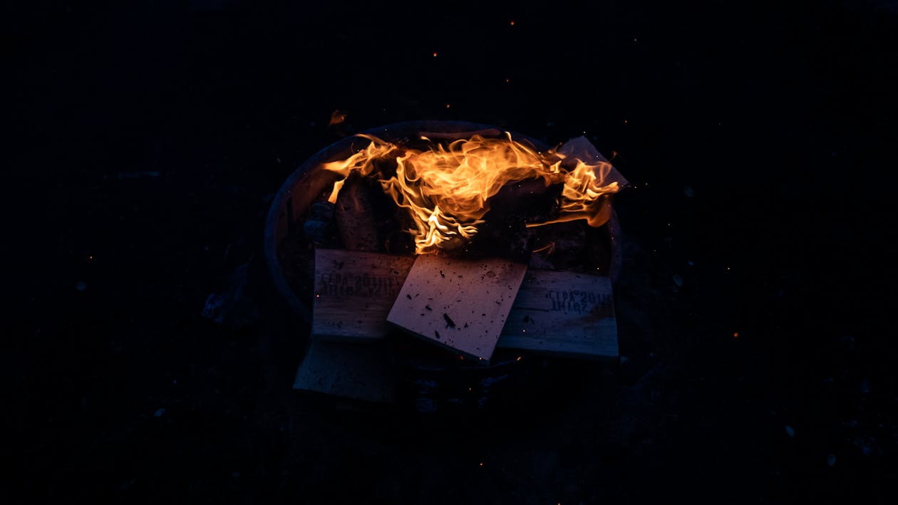 모닥불, 불, 불 숲의 무료 스톡 사진