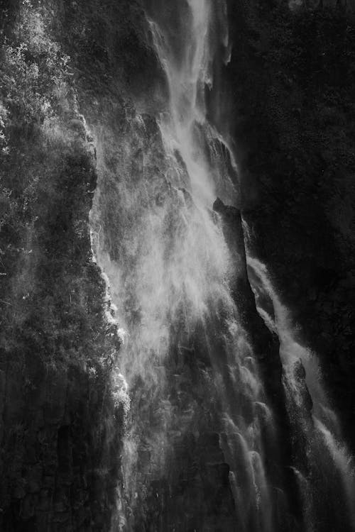 Waterfall in Black and White