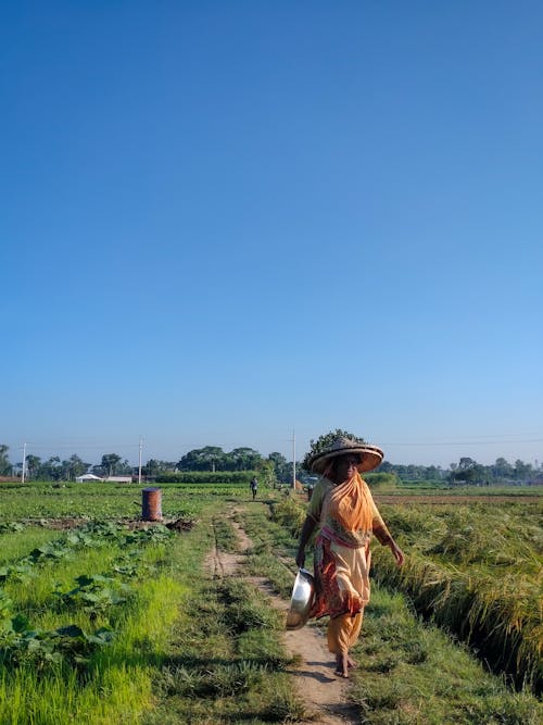 Peasant Woman in Traditional Clothes