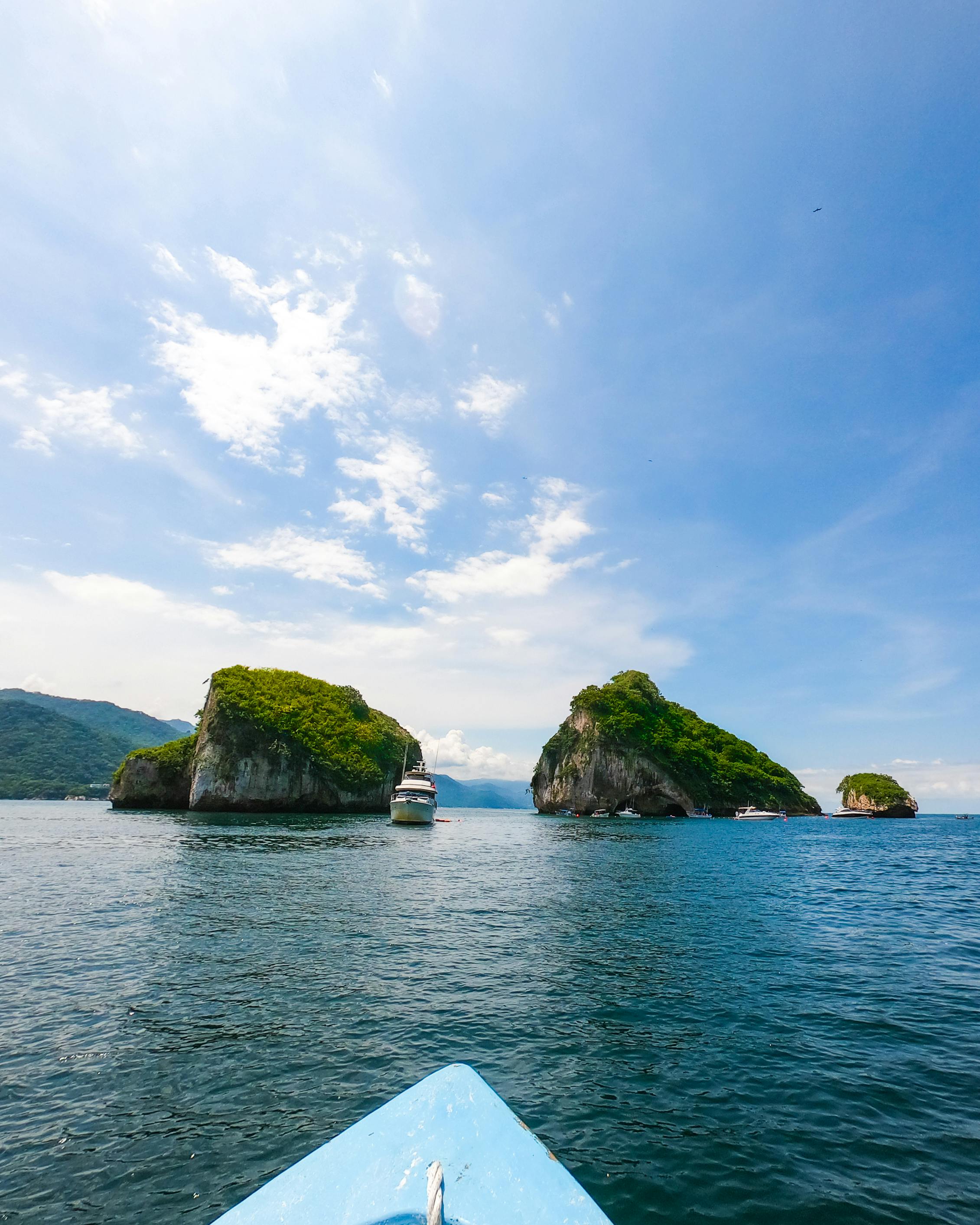 Dog lying on boat in sea · Free Stock Photo