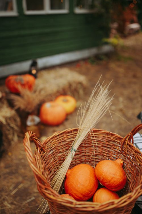 Free Cozy autumn scene with pumpkins and hay bales in a rustic outdoor setting. Stock Photo