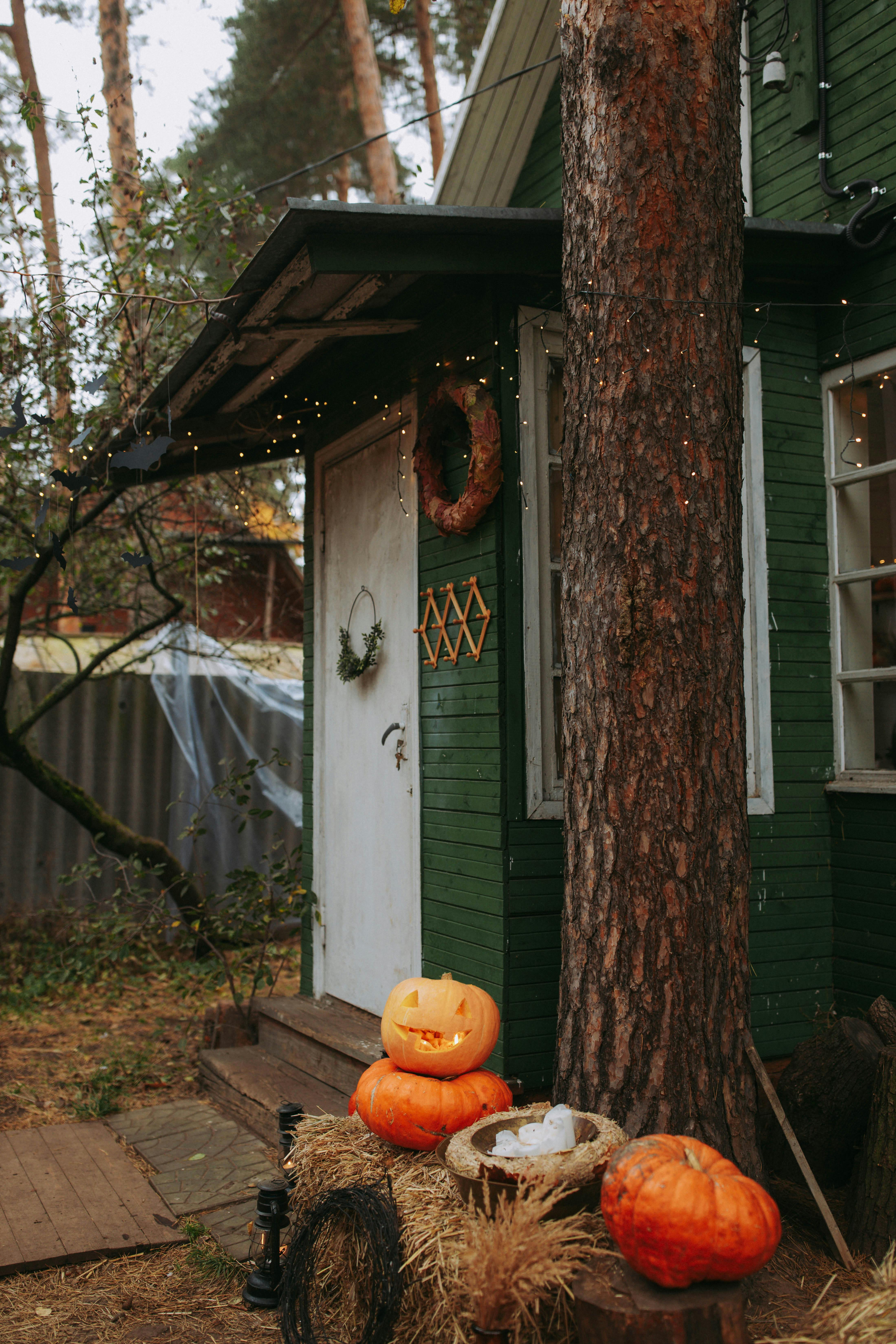 jack o lantern on brown wooden table