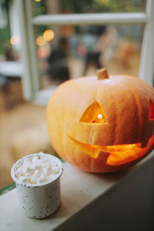 Ilmainen kuvapankkikuva tunnisteilla Halloween, halloween-kurpitsa, ikkunalaudalla