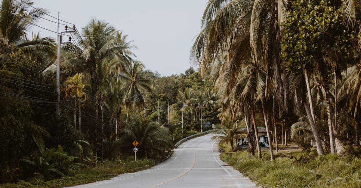 Tailandia: qué reformas elevan productividad agrícola y reducen vulnerabilidad rural Tailandia: qué reformas elevan productividad agrícola y reducen vulnerabilidad rural