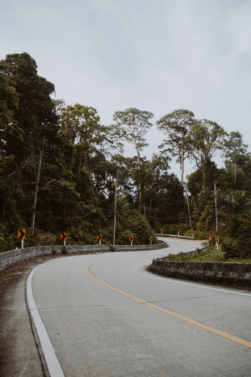 Free A curved concrete road winding through a lush green forest, capturing nature's beauty and travel allure. Stock Photo