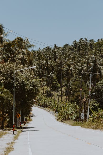 Photo by cottonbro studio A serene road winding through lush palm trees with clear blue skies overhead, capturing tropical tranquility.