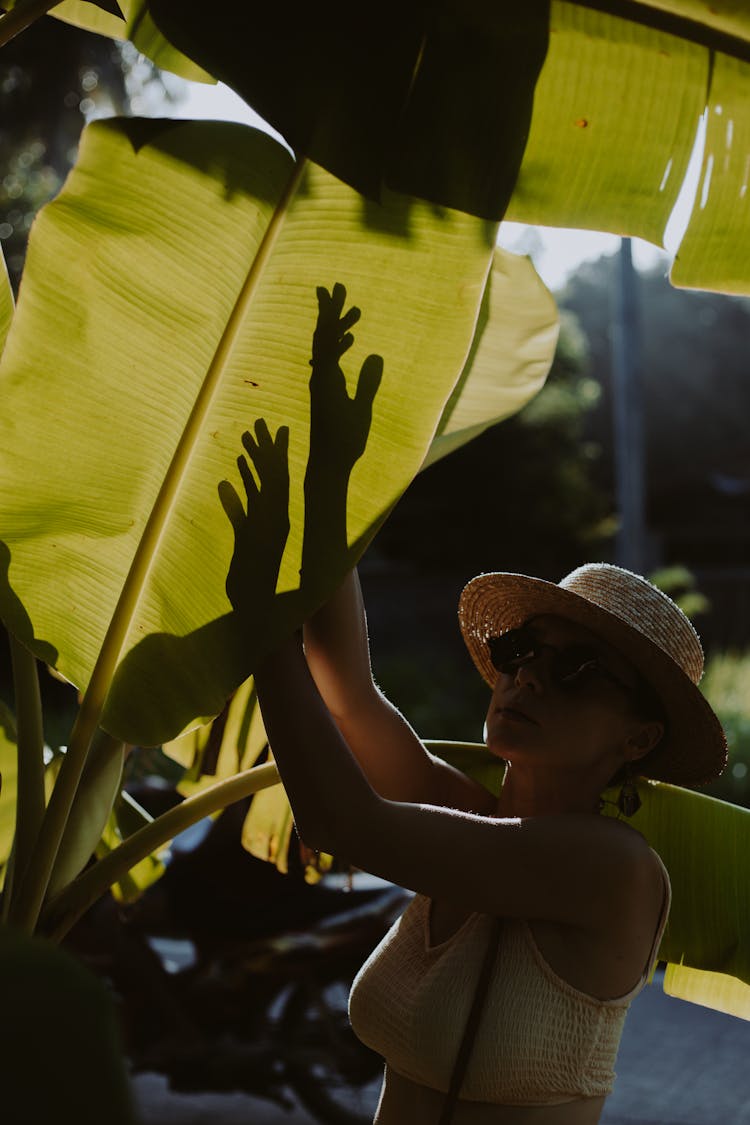 Woman In Front Of Big Green Leaf 